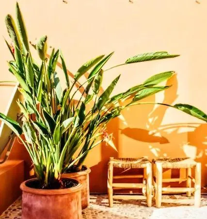 Spacious Duplex In Puerto 2 Bedr 2 Bath *