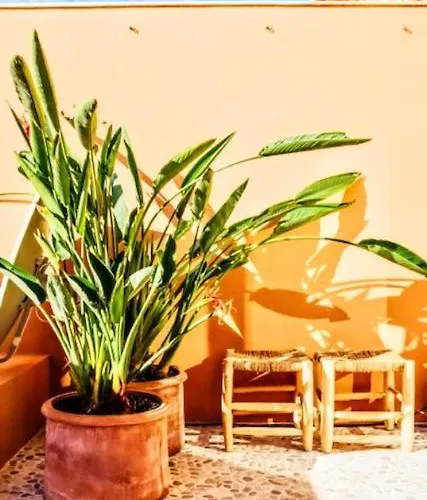 Spacious Duplex In Puerto 2 Bedr 2 Bath *